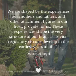 experience shapes development